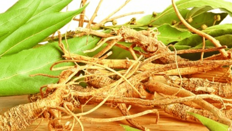 Rădăcina de Ginseng: Secretul Tinereții Veșnice în Medicina Tradițională Indiană