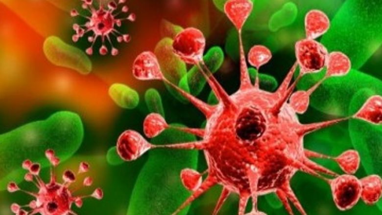 Descoperiri Revoluționare: Strămoșul Virusului HIV și Evoluția sa de-a Lungul Timpului