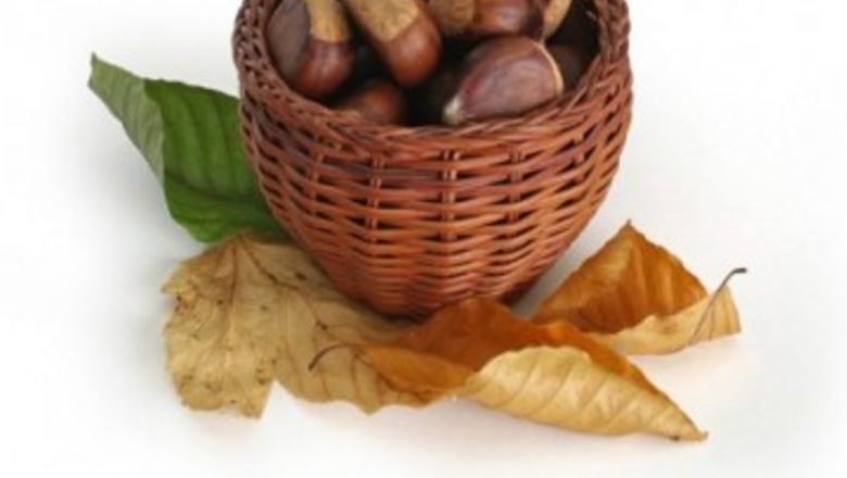 Castanele comestibile: Tonic natural pentru combaterea anemiei și nu numai