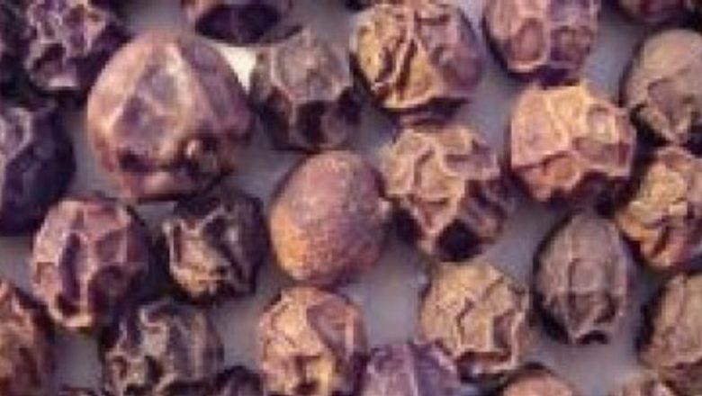 Beneficiile Piperului Negru în Procesul de Slăbire: O Analiză Detaliată
