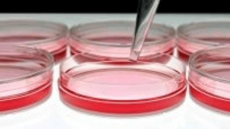 Riscurile Ambalajelor de Plastic pentru Gravide: O Analiză Profundă a Studiilor Recent