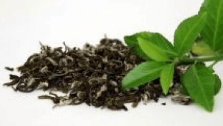 Beneficiile Ceaiului Oolong: Cum Ajută Metabolismul și Sănătatea Generală