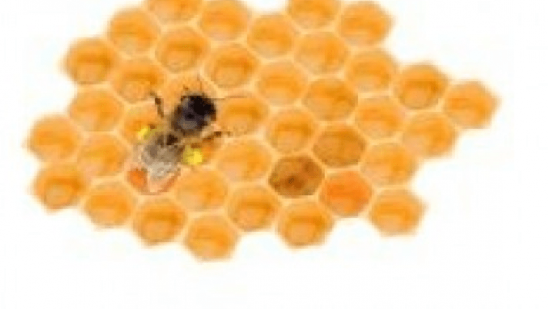 Inovație în tratamentul aftelor: Gel cu propolis dezvoltat de cercetătorii britanici