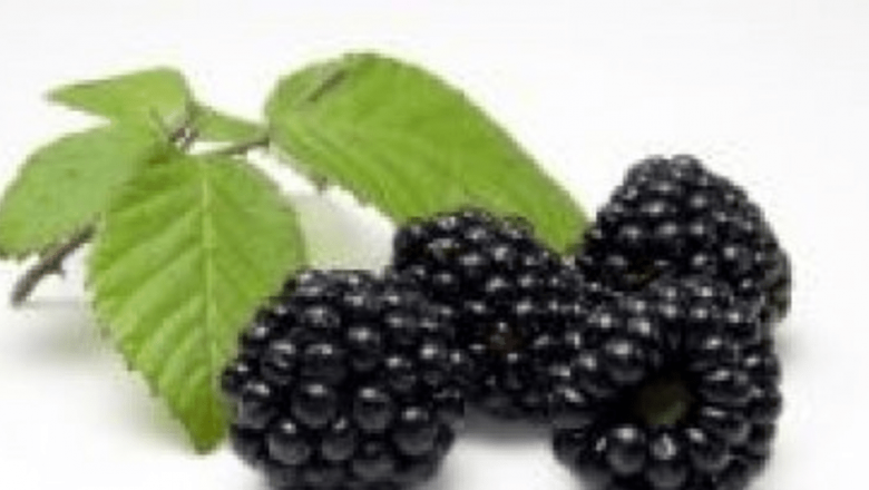 Murele: O Armă Naturală Împotriva Cancerului de Colon