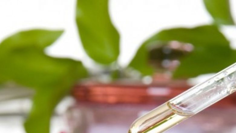 Extractul de dud alb: O soluție naturală promițătoare în gestionarea diabetului