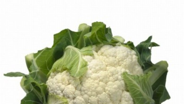 Conopida: Un Superaliment pentru Sănătatea Sângelui și a Întregului Organism