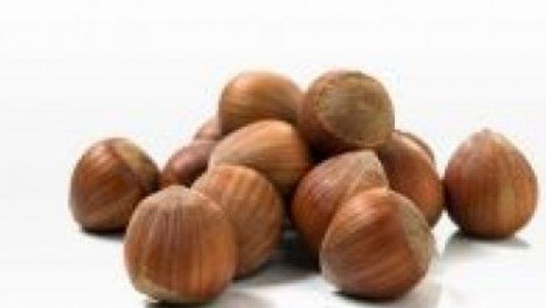 Alunele de pădure: Superalimente cu efecte energizante și beneficii terapeutice