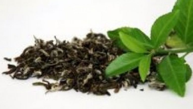 Ceaiul Oolong: Beneficii pentru Metabolism și Sănătate Generală