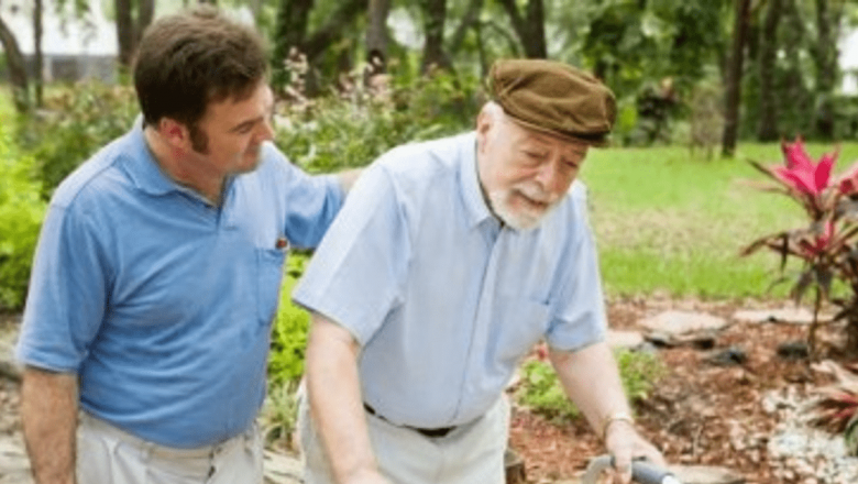 Colesterolul HDL: Un Protector Surprinzător Împotriva Alzheimerului