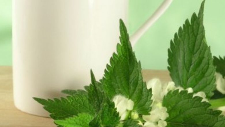 Uleiurile esențiale: O barieră naturală împotriva răcelilor și virozelor respiratorii