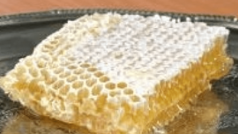 România la Cel Mai Mare Târg de Produse Ecologice: O Oportunitate de Promovare și Creștere pentru Agricultura Sustenabilă