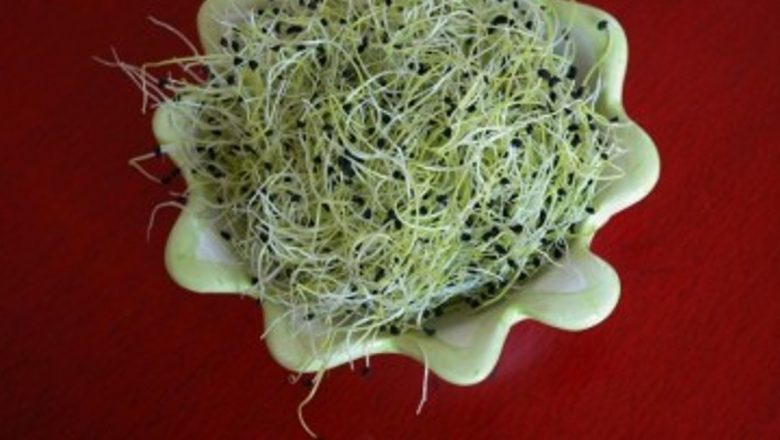 Semințele Germinate: O Armă Naturală Împotriva Cancerului și pentru Sănătatea Organismului