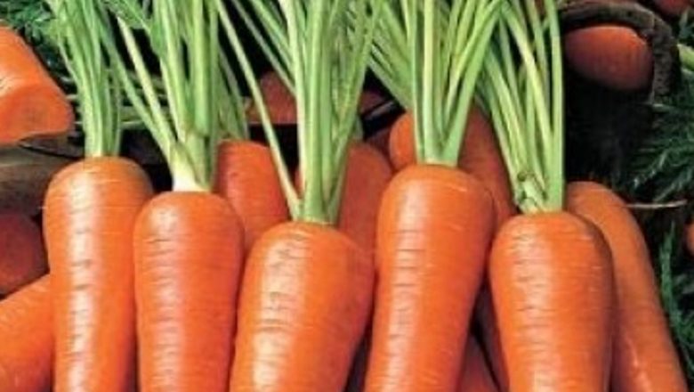 Alimentele care îți transformă pielea: 4 secrete pentru un ten sănătos și strălucitor