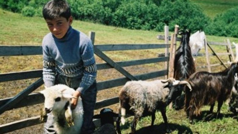 Microbii: aliații neașteptați în lupta împotriva astmului la copii