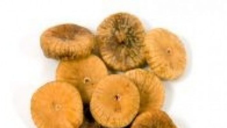 Leacuri Anticancer: O Privire Asupra Soluțiilor Naturale pentru Combaterea Bolilor Maligne