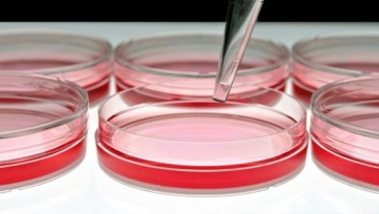 Utilizarea bacteriei Salmonella în terapia oncologică: O abordare inovatoare în lupta împotriva cancerului