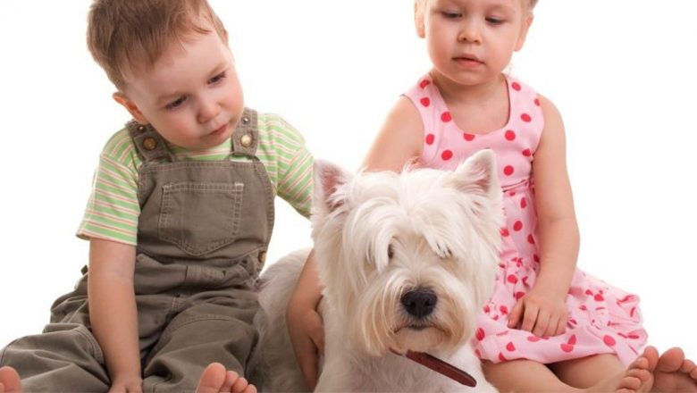 Cum să gestionezi pierderea unui animal de companie: Ghid pentru părinți și copii