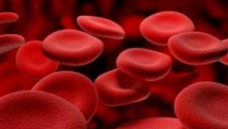 Talasemia: Un Drum către Egalitate în Sănătate și Drepturi pentru Pacienți