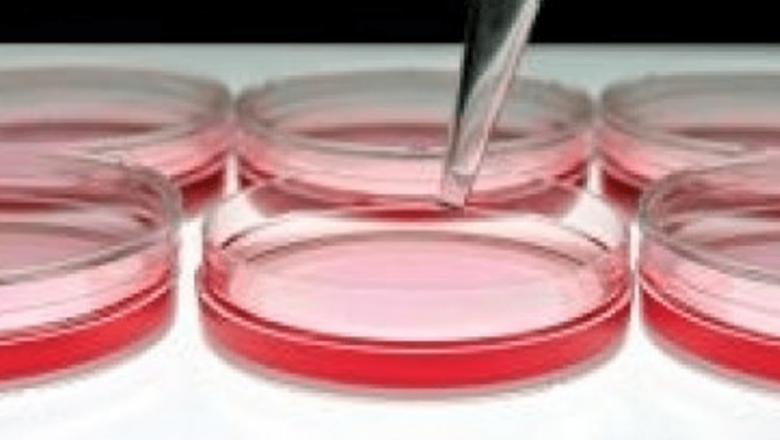 Semințele Germinate și Epidemia de E. Coli: O Analiză Detaliată a Riscurilor și Implicațiilor