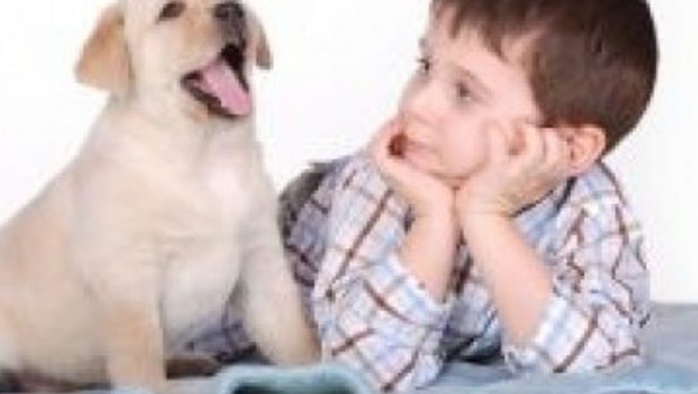 Impactul pozitiv al animalelor de companie asupra sănătății copiilor: Cum pot reduce riscul alergiilor