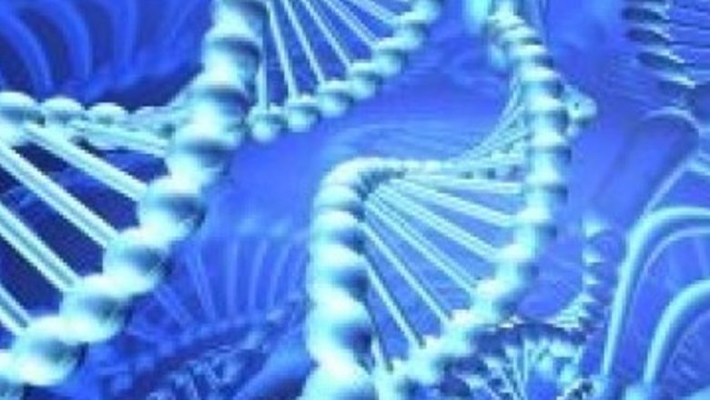 Descoperiri în Genetica Infertilitatea Masculină: O Analiză Detaliată a Impactului Modificărilor Genetice asupra Fertilității Bărbaților