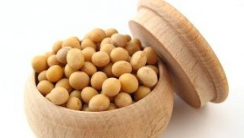 Impactul consumului de legume uscate asupra sănătății intestinale: O analiză detaliată