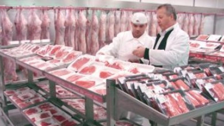 Salmonella Rezistentă la Tratament: O Amenințare Globală în Expansiune