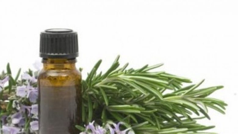 Secretele Plantelor Medicinale: Poțiuni Magice pentru Sănătatea Ta