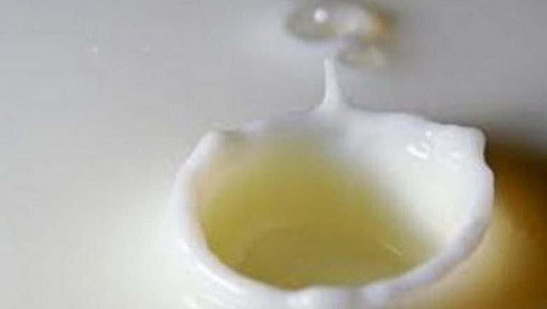 Laptele: Un Remediu Natural pentru Oboseală și Alte Afecțiuni