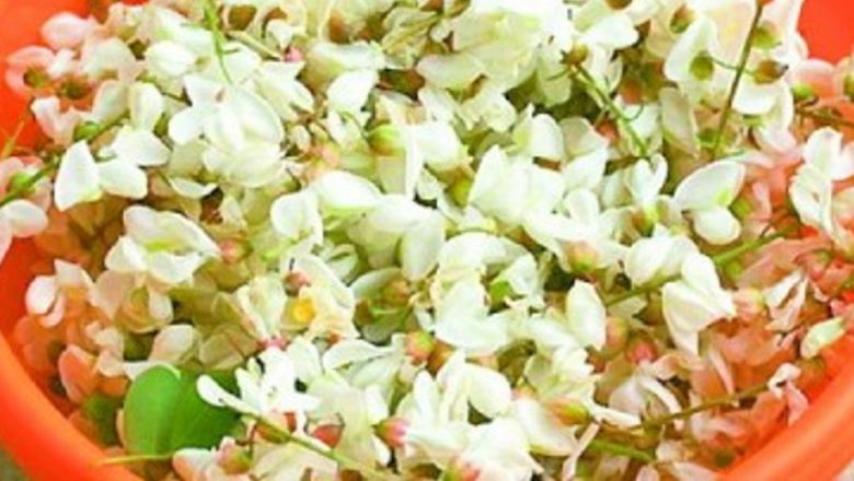 Trucurile Lunii: Remedii Naturale pentru Îngrijirea Tenului, Părului și Sănătății
