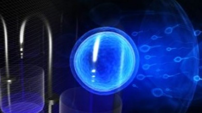 Provocările și Perspectivele Programului de Fertilizare In Vitro: O Analiză Detaliată a Primelor 52 de Proceduri
