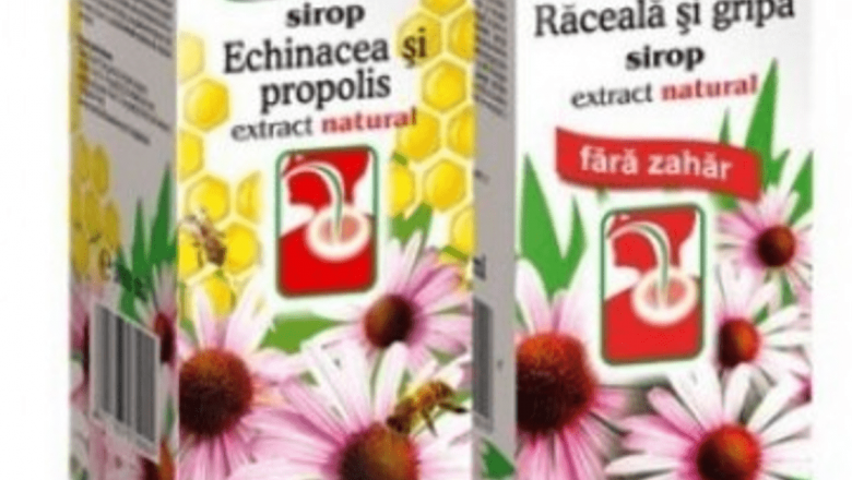 Echinacea: Un Aliat Natural în Lupta cu Virusurile și Îmbunătățirea Imunității