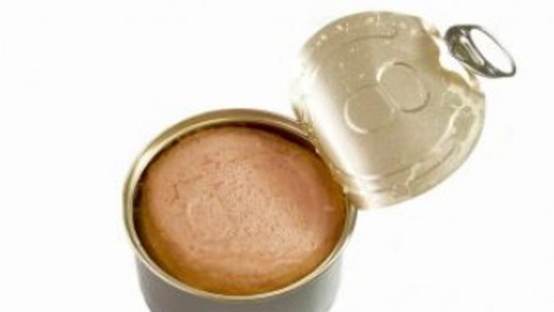 Riscurile consumului de pate de pui: O analiză a toxiinfecțiilor alimentare cauzate de Campylobacter