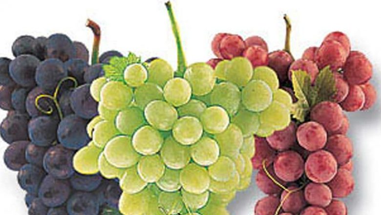 Strugurii: Remediul Natural Eficient Împotriva Febrei