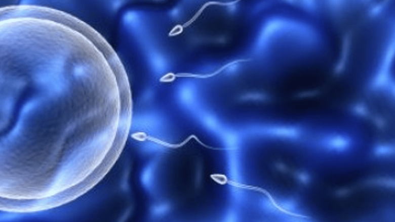 Speranţă pentru bărbaţii infertili: Producerea spermei umane în laborator – O nouă frontieră în fertilitate