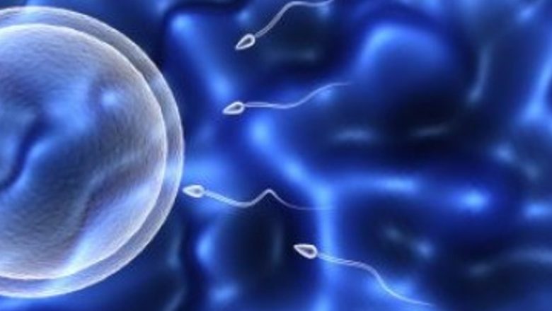 Inovație în domeniul reproducției: O nouă speranță pentru bărbații infertili