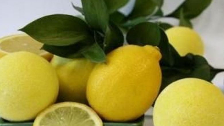 Ceaşca de sănătate: Remedii tradiționale pentru a rămâne în formă pe timpul iernii