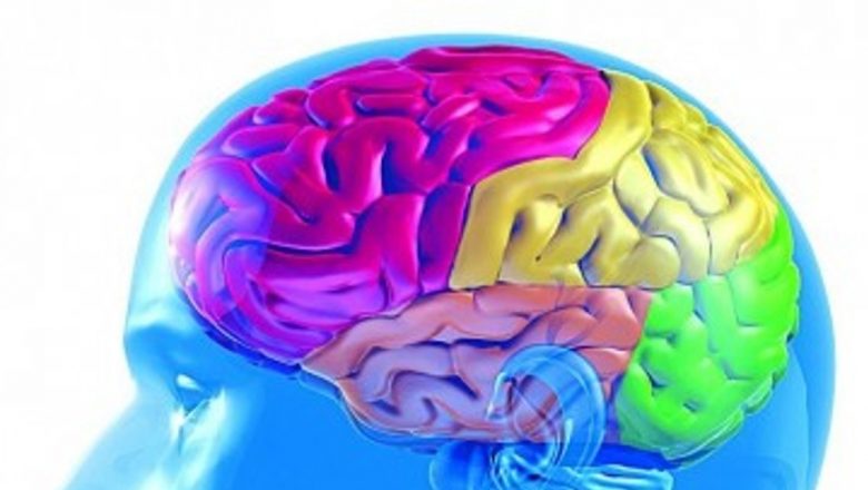 Alimentația pentru o Minte Limpede: Zece Alimente Esențiale pentru Sănătatea Creierului