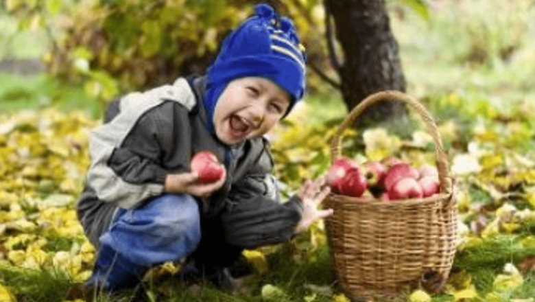 Importanța consumului de fructe și legume în alimentația copiilor: O necesitate urgentă pentru sănătatea viitoare