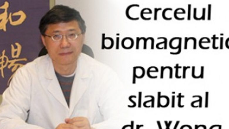 Revoluția Slăbirii: Cercelul Biomagnetic MagnetoSlim și Impactul său asupra Obezității