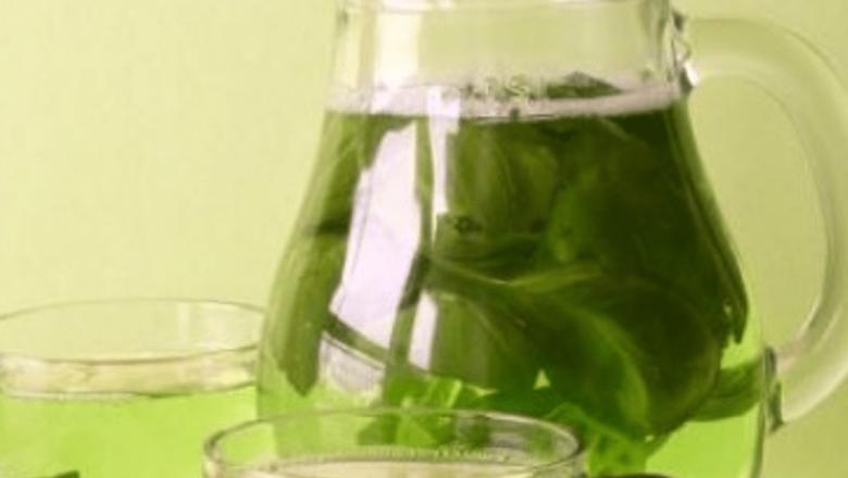 Cultura ceaiului verde în România: O necesitate ignorată de 83% dintre români