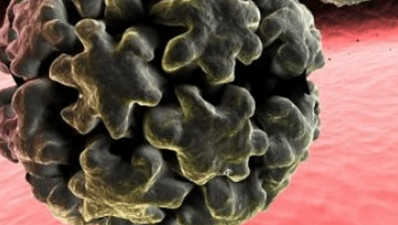 Impactul virusului HPV: O amenințare globală mai mare decât ne imaginăm