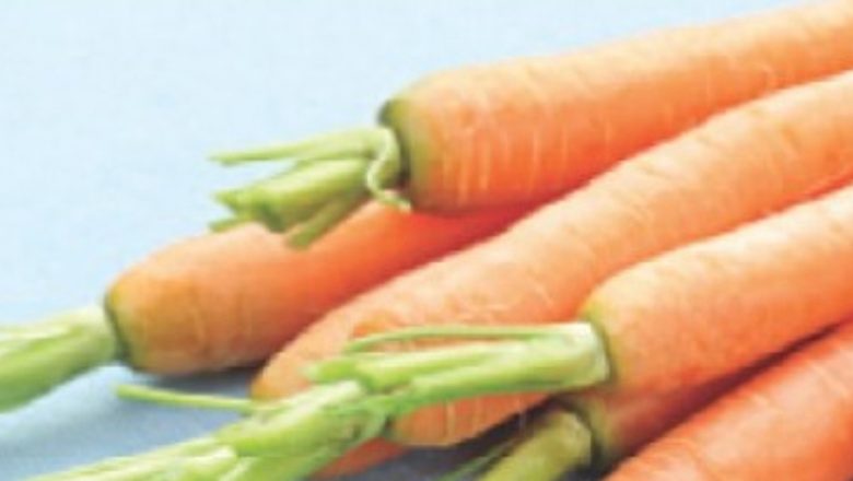 Beneficiile Morcovilor pentru Piele: Soluții Naturale pentru Îngrijirea Mâinilor