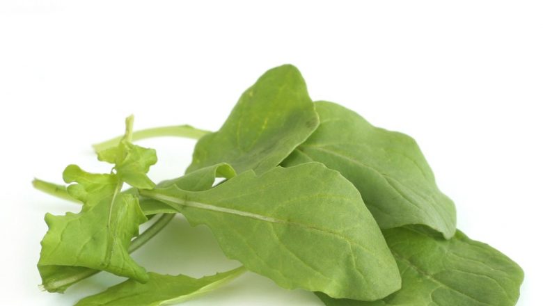 Beneficiile Salatelor cu Verdețuri: Rucola și Alte Componente pentru Sănătate