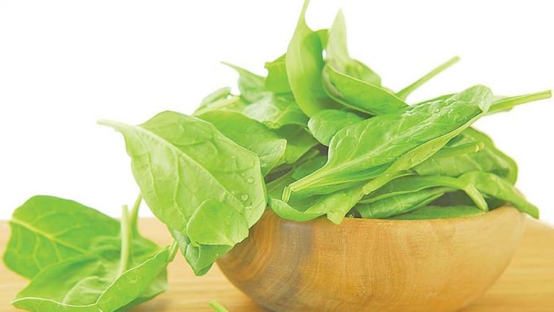 Plantele de Primăvară: Soluții Naturale pentru Combaterea Asteniei Sezoniere