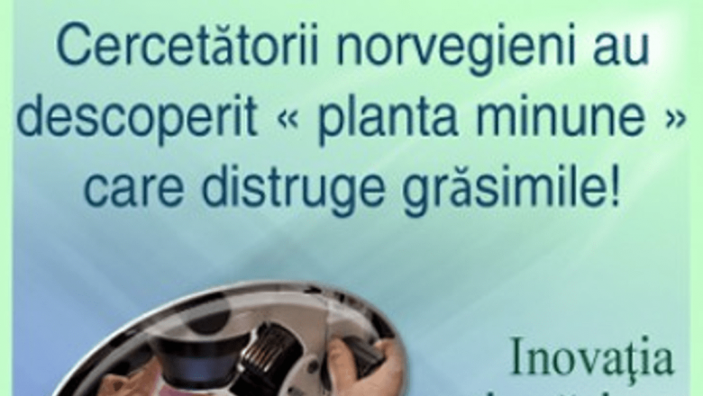 Pregătește-ți Silueta pentru Plajă: O Analiză Detaliată a Acidului Linoleic Conjugat și Impactul Său Asupra Dietei Moderne