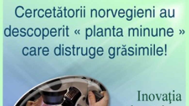 Descoperirea acidului linoleic conjugat: O soluție naturală pentru slăbire sănătoasă