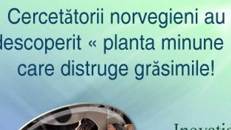 Pregătește-ți Silueta pentru Plajă: Descoperirea Safraline și Impactul Acidului Linoleic Conjugat