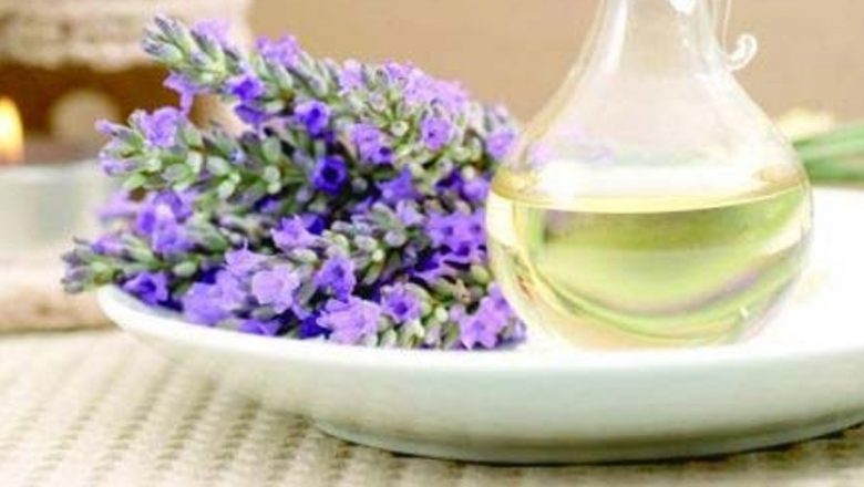 Levănțica: O comoară medicinală cu efecte terapeutice extraordinare
