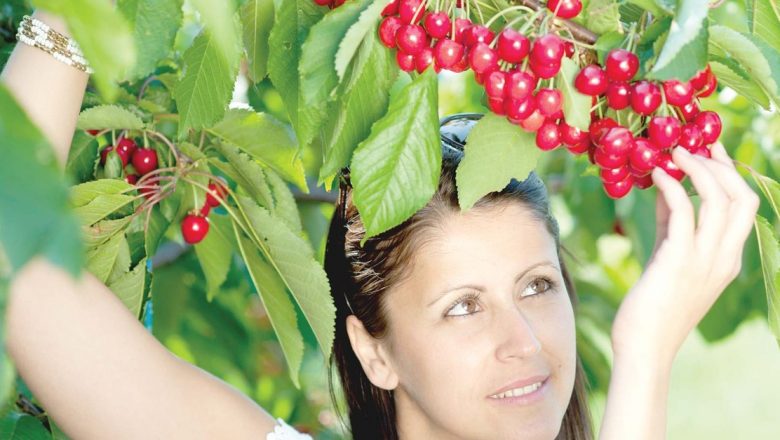 Beneficiile Vișinelor: Soluția Naturală pentru Anemie și Nu Numai
